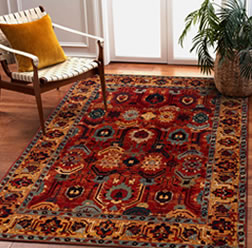 interior renovations Carpets
